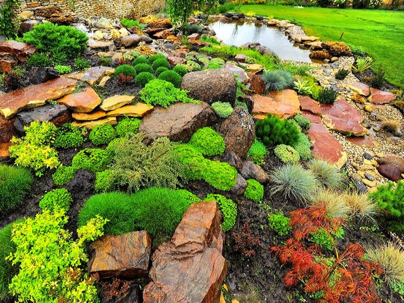 пример сочетания каменного сада с водоемом