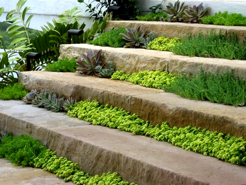 лестница из камня в ландшафтном дизайне